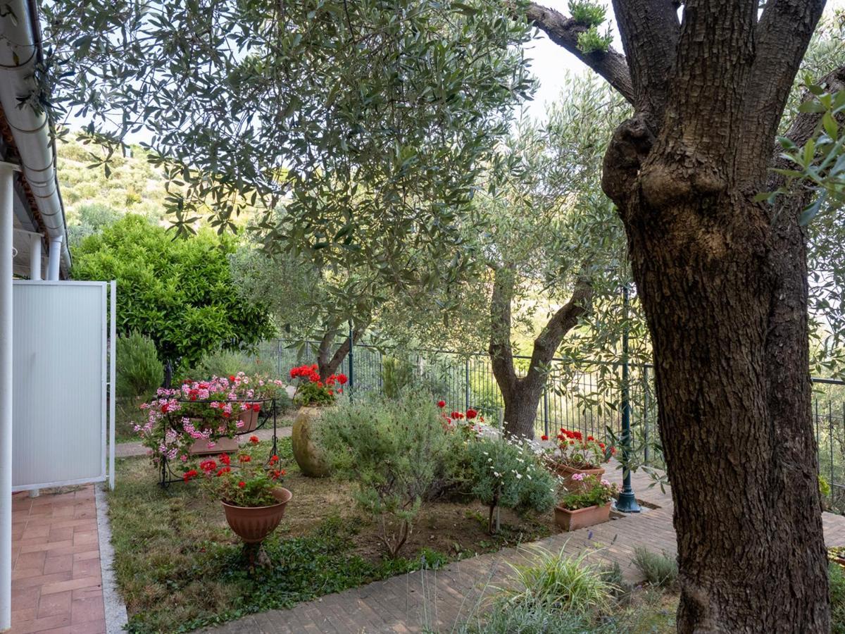 Bed and Breakfast Tra Gli Ulivi Pietra Ligure Exteriér fotografie