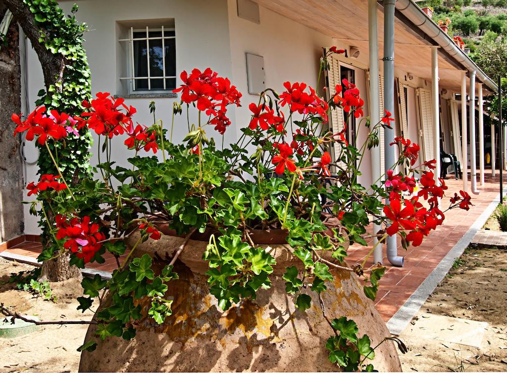 Bed and Breakfast Tra Gli Ulivi Pietra Ligure Exteriér fotografie